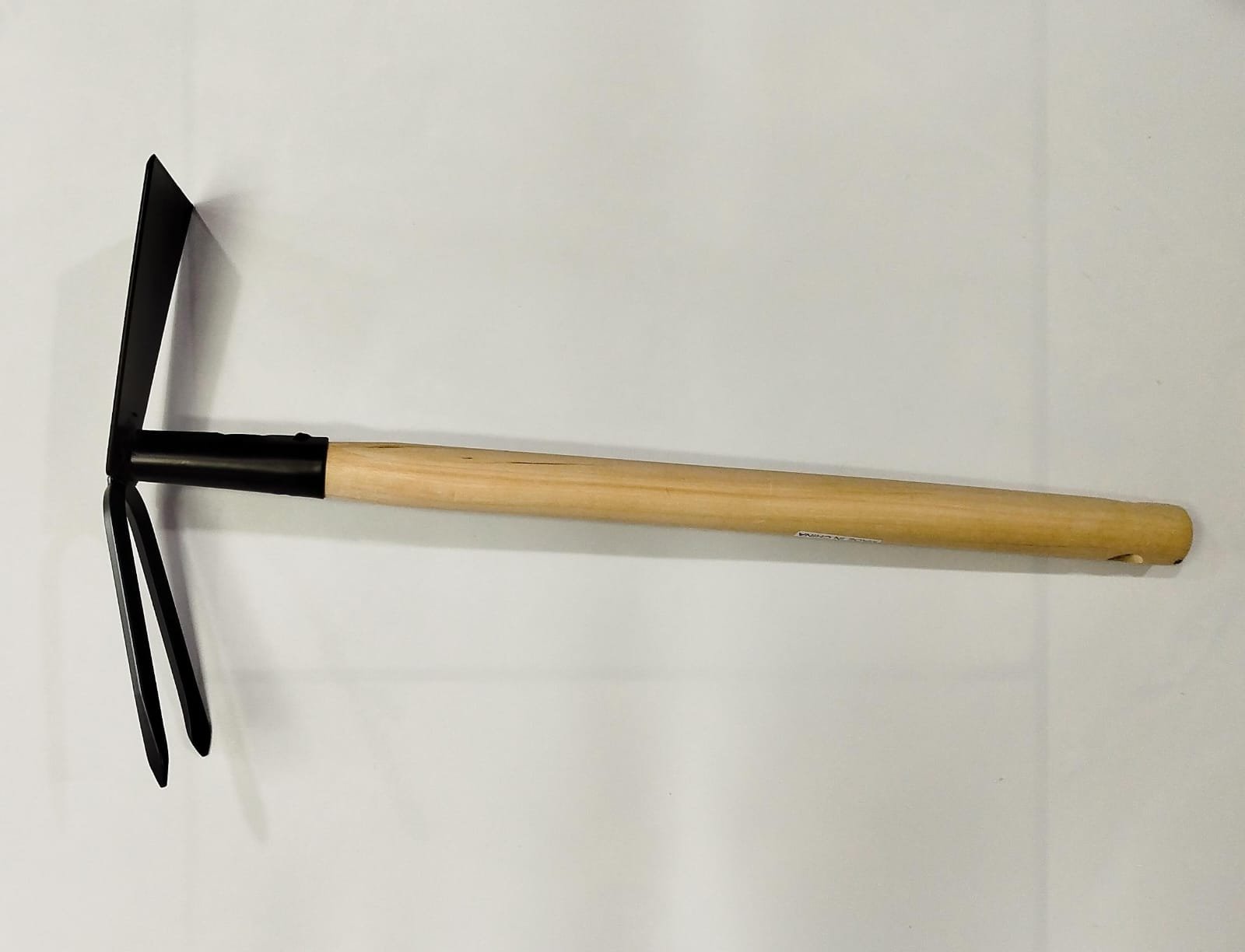 ASADA CON ESCARDILLO